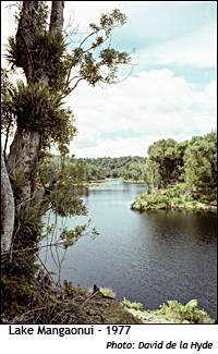 Lake Mangaonui 1977